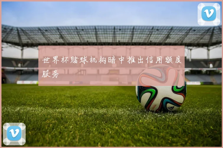 世界杯赌球机构暗中推出信用额度服务