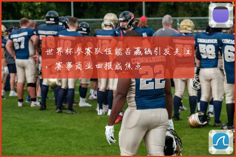 世界杯参赛队伍能否赢钱引发关注,赛事商业回报成焦点