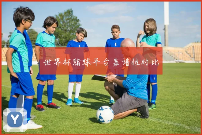 世界杯赌球平台靠谱性对比